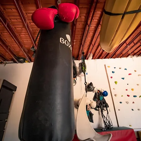 Casa Do Marujo E Casa Do Mirone * Fornos de Algodres